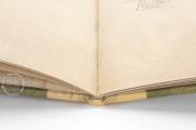 Bartolomeo Squarcialupi - Libro de cauteri, Padua, Biblioteca Medica Vincenzo Pinali, ms. Fanzago 2, I, 5, 28 − Photo 19