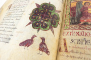 Beatus of Liébana - San Miguel de Escalada Codex, New York, The Morgan Library & Museum, MS M.644 − Photo 11