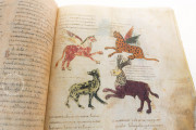 Beatus of Liébana - San Miguel de Escalada Codex, New York, The Morgan Library & Museum, MS M.644 − Photo 13