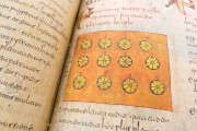 Beatus of Liébana - San Miguel de Escalada Codex, New York, The Morgan Library & Museum, MS M.644 − Photo 16
