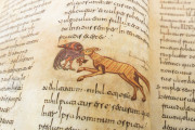 Beatus of Liébana - San Miguel de Escalada Codex, New York, The Morgan Library & Museum, MS M.644 − Photo 17