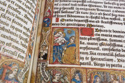 Incunabular Book of Hours in Latin and French Illuminated for th, Madrid, Biblioteca Nacional de España, I 2719 − Photo 7