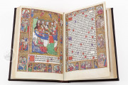 Incunabular Book of Hours in Latin and French Illuminated for th, Madrid, Biblioteca Nacional de España, I 2719 − Photo 11