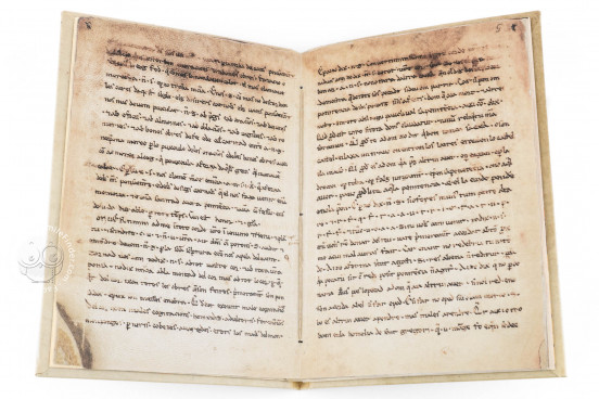 Homilies of Organyà, Barcelona, Biblioteca Nacional de Catalunya, MS 289 − Photo 1