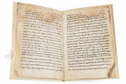 Homilies of Organyà, Barcelona, Biblioteca Nacional de Catalunya, MS 289 − Photo 6