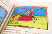 Notitia Dignitatum, Madrid, Biblioteca Nacional de España, ms. Reserva 36 − Photo 19