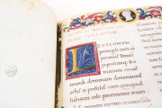 Notitia Dignitatum, Madrid, Biblioteca Nacional de España, ms. Reserva 36 − Photo 22