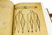 Codex Amiatinus, Florence, Biblioteca Medicea Laurenziana, ms. Laurenziano Amiatino 1 − Photo 14
