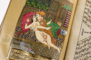 Persian Kama Sutra, Private Collection, Ms. 17 − Photo 10