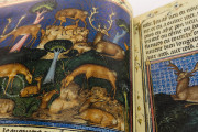 Book of Hunting of Gaston III Phoebus, St. Petersburg, The State Hermitage Museum, Ms. OP N.° 2 − Photo 9