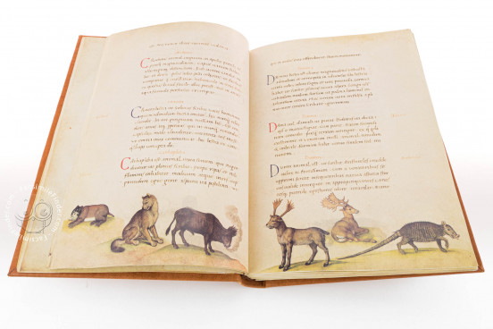 The Animal Book of Pier Candido, Vatican City, Biblioteca Apostolica Vaticana, Urb. lat. 276 − Photo 1