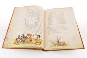 The Animal Book of Pier Candido, Vatican City, Biblioteca Apostolica Vaticana, Urb. lat. 276 − Photo 3