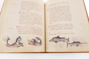 The Animal Book of Pier Candido, Vatican City, Biblioteca Apostolica Vaticana, Urb. lat. 276 − Photo 4