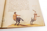 The Animal Book of Pier Candido, Vatican City, Biblioteca Apostolica Vaticana, Urb. lat. 276 − Photo 5