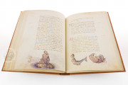 The Animal Book of Pier Candido, Vatican City, Biblioteca Apostolica Vaticana, Urb. lat. 276 − Photo 7