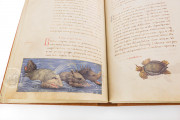The Animal Book of Pier Candido, Vatican City, Biblioteca Apostolica Vaticana, Urb. lat. 276 − Photo 10