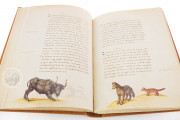The Animal Book of Pier Candido, Vatican City, Biblioteca Apostolica Vaticana, Urb. lat. 276 − Photo 13