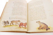 The Animal Book of Pier Candido, Vatican City, Biblioteca Apostolica Vaticana, Urb. lat. 276 − Photo 18