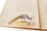 The Animal Book of Pier Candido, Vatican City, Biblioteca Apostolica Vaticana, Urb. lat. 276 − Photo 21