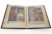 Morgan Picture Bible, New York, The Morgan Library & Museum, MS M.638
Paris, Bibliothèque nationale de France, MS nouv. acq. lat. 2294
Los Angeles, J. Paul Getty Museum, MS Ludwig I 6 − Photo 6