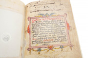 The Tournament Book of Kraichgauer Knight Community, Vatican City, Biblioteca Apostolica Vaticana, MS Ross. 711 − Photo 12