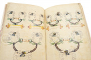 The Tournament Book of Kraichgauer Knight Community, Vatican City, Biblioteca Apostolica Vaticana, MS Ross. 711 − Photo 14