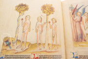 Biblia Pauperum, Vatican City, Biblioteca Apostolica Vaticana, Pal. lat. 871 − Photo 9