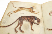 Sketch Book of Giovannino de Grassi, Ms. VII. 14 - Biblioteca Civica Angelo Mai (Bergamo, Italy) − photo 22