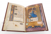 The Barberini Book of Hours for Rouen, Vatican City, Biblioteca Apostolica Vaticana, Barb. lat. 487 − Photo 7