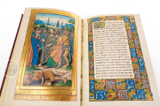 The Barberini Book of Hours for Rouen, Vatican City, Biblioteca Apostolica Vaticana, Barb. lat. 487 − Photo 10