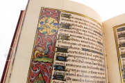 The Barberini Book of Hours for Rouen, Vatican City, Biblioteca Apostolica Vaticana, Barb. lat. 487 − Photo 16