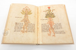 Herbarium of Trento Facsimile Edition