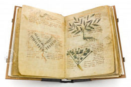 Herbolarium et materia medica Facsimile Edition