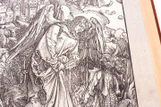 Apocalypse with Pictures by Albrecht Dürer, Incunable nº 1 - Biblioteca Nacional de España (Madrid, Spain) − Photo 7