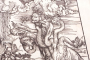 Apocalypse with Pictures by Albrecht Dürer, Incunable nº 1 - Biblioteca Nacional de España (Madrid, Spain) − Photo 14