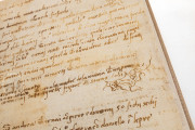 Pontormo's Diary, Florence, Biblioteca Nazionale Centrale, ms Magl. VIII 1490 − Photo 14