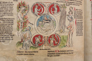 Biblia Pauperum: Apocalypsis: The Weimar Manuscript, Weimar, Herzogin Anna Amalia Bibliothek, Cod. Fol. max. 4 − Photo 16