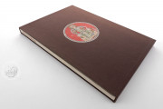 Biblia Pauperum: Apocalypsis: The Weimar Manuscript, Weimar, Herzogin Anna Amalia Bibliothek, Cod. Fol. max. 4 − Photo 27