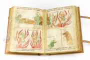 Bible of Pamplona, Cod.I.2.4° 15 - Collection Oettingen-Wallenstein, Universitätsbibliothek Augsburg (Germany) − photo 11