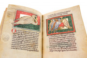 St. Petersburg Bestiary, St. Petersburg, National Library of Russia, Lat. Q. v. V. N. I. − Photo 11