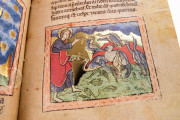 St. Petersburg Bestiary, St. Petersburg, National Library of Russia, Lat. Q. v. V. N. I. − Photo 13