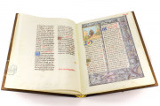Missal of George of Challant, Aosta, Collegiata dei Santi Pietro e Orso, ms. 43 − Photo 8