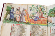 Speculum Humanae Salvationis, Madrid, Biblioteca Nacional de España, ms. Vit.25-7 − Photo 12