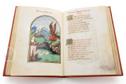 Rhyme of the Conquest of Granada, Chantilly, Bibliothèque du Château, 604 (1339) XIV-D-14 − Photo 6