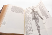 Andreas Vesalius: De Humani Corporis Fabrica, London, British Library, 548.i.2.(1) − Photo 4