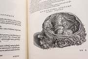 Andreas Vesalius: De Humani Corporis Fabrica, London, British Library, 548.i.2.(1) − Photo 7