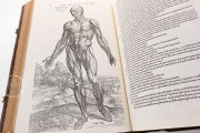 Andreas Vesalius: De Humani Corporis Fabrica, London, British Library, 548.i.2.(1) − Photo 11