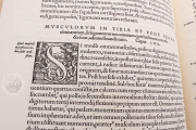 Andreas Vesalius: De Humani Corporis Fabrica, London, British Library, 548.i.2.(1) − Photo 16