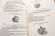 Andreas Vesalius: De Humani Corporis Fabrica, London, British Library, 548.i.2.(1) − Photo 18