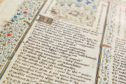 Speculum Humanae Salvationis, Cod. 206 - Stiftsbibliothek des Klosters Einsiedeln (Switzerland) − photo 3